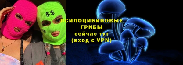 ГАЛЛЮЦИНОГЕННЫЕ ГРИБЫ Киренск