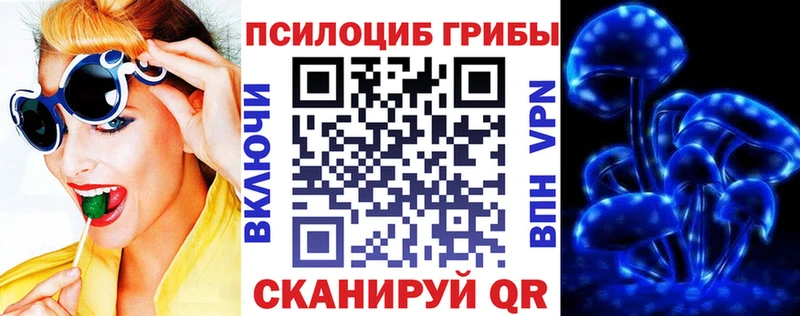 Псилоцибиновые грибы Magic Shrooms  Купить  Верхняя Тура 